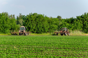 Tractor, processing a field of soybeans in a farmer's field. Agricultural activity. A series of...