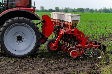 A farmer on a tractor fertilizes and cultivates a field of young corn. Fertilizing corn with...