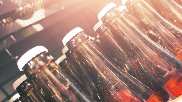 Dark beer in glass bottles stand on a shelf in a liquor store, ABC store, cellar or pub. Close-up shot. Dutch angle