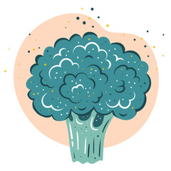 Fresh organic vegetables-broccoli. Vector illustration, Healthy vegetarian food.