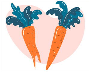 Fresh organic vegetables-carrot. Vector illustration, Healthy vegetarian food.
