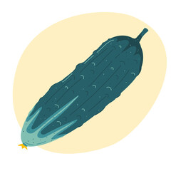 Fresh organic vegetables-cucumber. Vector illustration, Healthy vegetarian food.