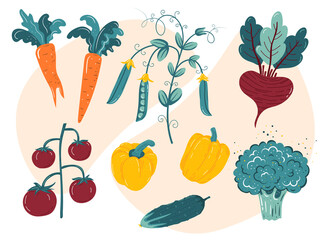 Fresh organic vegetables-pepper, peas, carrot, tomato, cucumber, broccoli, beetroot. Vector illustration, Healthy vegetarian food.
