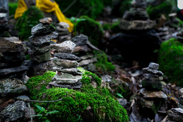 moss on the rocks