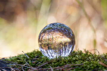 A look at the upside-down world through a ball. The crystal ball lies on the green moss of a tree with a view of the autumn forest. Focus on the crystal ball. Take care of nature. Close-up