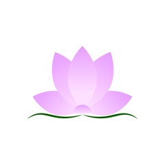 lotus isolated on white beautiful flower logo illustration 