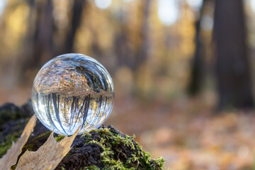 A look at the upside-down world through a ball. The crystal ball lies on the green moss of a tree with a view of the autumn forest. Focus on the crystal ball. Take care of nature. Close-up