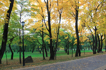 Naklejka premium autumn. fun colors of autumn. Alley in the sunny evening autumn park