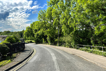 Looking down, Hirst Lane, with buildings, and old trees near, Hirst Wood, Shipley, UK