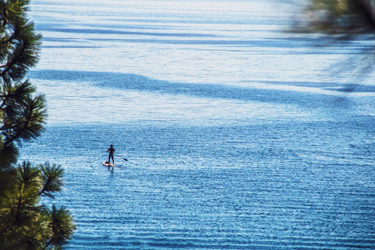 Alone in the blue water of Lake Tahoe, a lone man stands on paddleboard headed away from shore - framed by bokeh evergreen trees