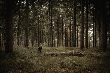 Moody and mysterious place hidden deep in the mountains and forests in the north of Czech Republic. Spooky place when magic is real.