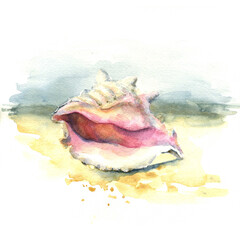 Watercolor sketch shell on the sea coast