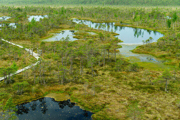 View over the Big Ķemeri Bog in Ķemeri National Park in Latvia