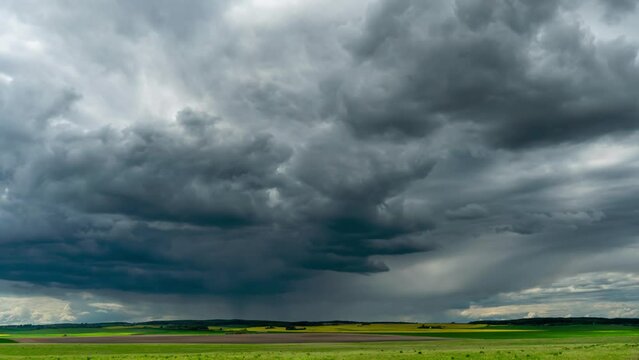 Timelapse movement of a thundercloud with rain over a wheat field. A terrible black cloud on the eve of a tornado and a natural disaster. A hurricane in the countryside.