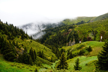 landscape in the mountains, Ciucas Mountains, Romania 