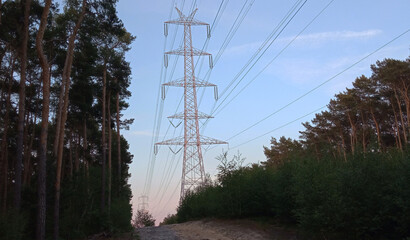 High voltage lines in the forest