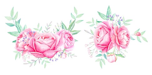 Pink peonies. Watercolor compositions of flowers. Isolated on white background