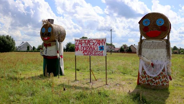 Traditional straw bales on a meadow in Wegrow County, Mazowsze region of Poland