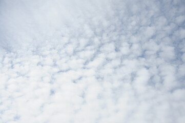 Fototapeta premium blue sky with white fluffy clouds