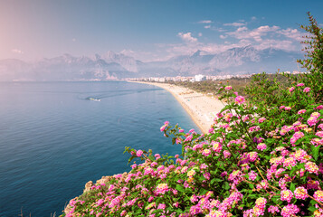 Flowers blooming with famous Konyaalti beach in the background, scenic panoramic view from a cliif top. Travel destinations of Turkey and Antalya and mediterranean riviera at spring