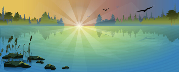 Beautiful sunrise over the lake.  Gorgeous landscape with calm pond and reflection with forest, flying birds, big stones and reeds.