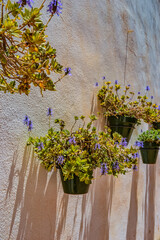 Flower pots attached as decor to the walls of houses. The famous decor of Andalusia.