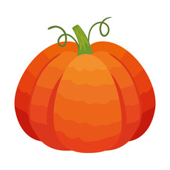 pumpkin autumn season