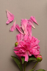 pink peony beautiful summer bouquet