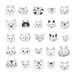 Cat faces vector illustrations line set