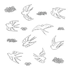 Swallow bird vector illustration line set