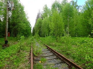 Obraz premium Abandoned railroad track reclaimed by forest