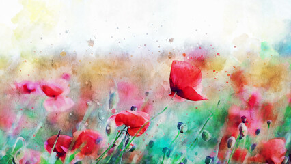 Red poppies in the summer field, watercolor art 