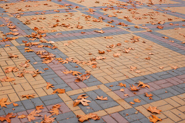 Paving stones in the park with fallen maple yellow leaves on an autumn day