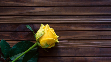 Background with a yellow rose on a wooden table.	