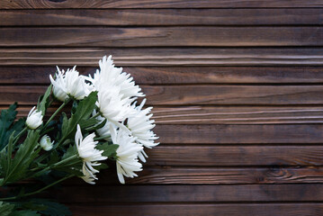 white chrysanthemum flowers  with copy space on wooden background