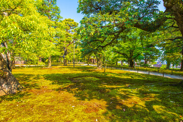 石川県金沢市　新緑の兼六園