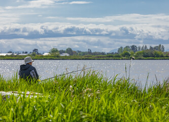 Fly Fishing In a Fraser River in British Columbia, Canada. Fisherman using rod fly fishing in river on summer season.