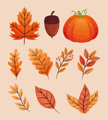 Fototapeta premium ten autumn season icons