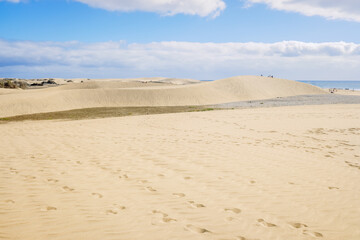 Fototapeta na wymiar Sand dunes on the Canarian beach of Maspalomas.