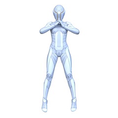 サイバーウーマン