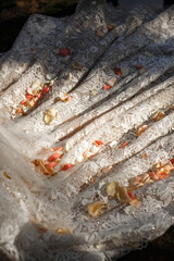 Rose petals on a white wedding dress
