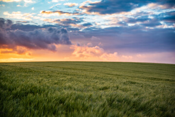 Farm field in sunset colours and cloudy skies