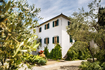 Fototapeta premium Romantic courtyard in the Italian villa