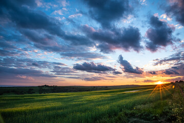 Naklejka na ściany i meble Farm field in sunset colours and cloudy skies