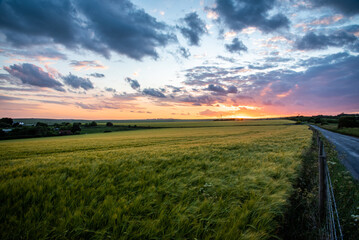 Fototapeta na wymiar Farm field in sunset colours and cloudy skies