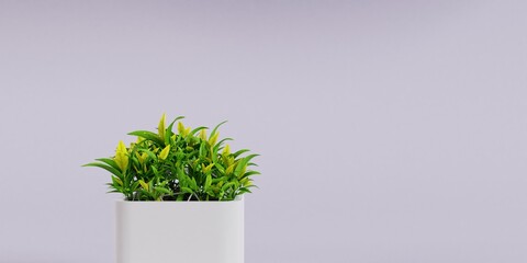Indoor Plant And Vase Realistic 3d Render