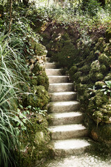An old stone staircase. The Regaleira Palace, Quinta da Regaleira, Sintra