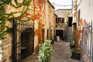 Fototapeta na wymiar Cozy Italian patio with steps and plants
