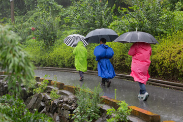 person with umbrella