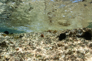 underwater shallows